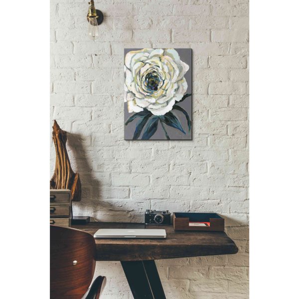 Rose  by Jeanette Vertentes, Canvas Wall Art Online now