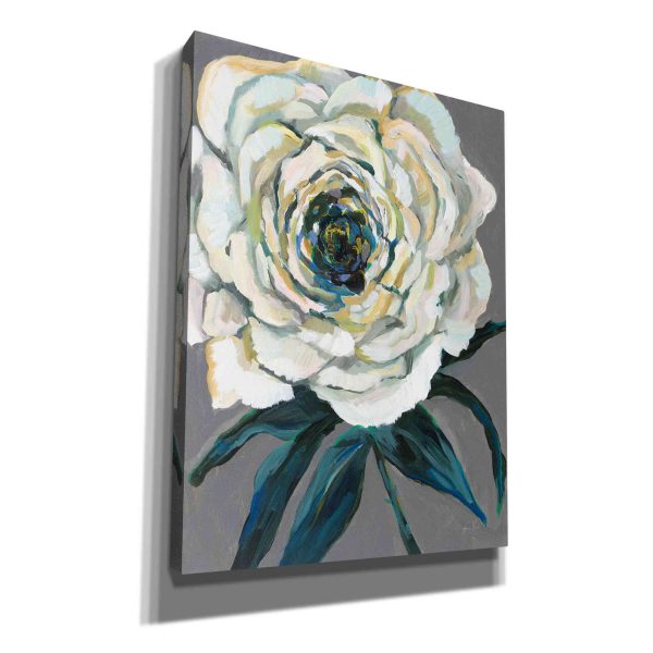 Rose  by Jeanette Vertentes, Canvas Wall Art Online now