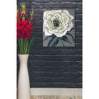 Rose  by Jeanette Vertentes, Canvas Wall Art Online now