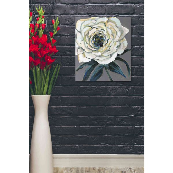 Rose  by Jeanette Vertentes, Canvas Wall Art Online now