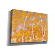 Soft Breeze 1  by Graham Reynolds, Canvas Wall Art Supply