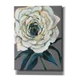 Rose  by Jeanette Vertentes, Canvas Wall Art Online now