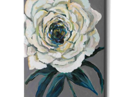 Rose  by Jeanette Vertentes, Canvas Wall Art Online now