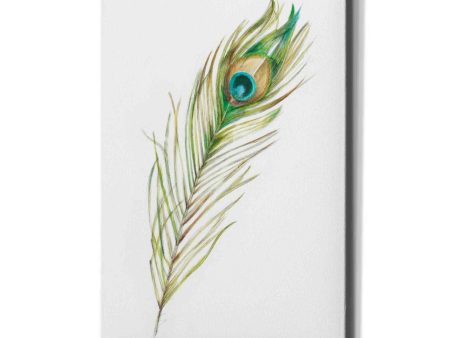 Watercolor Peacock Feather II  by Ethan Harper, Canvas Wall Art Online now