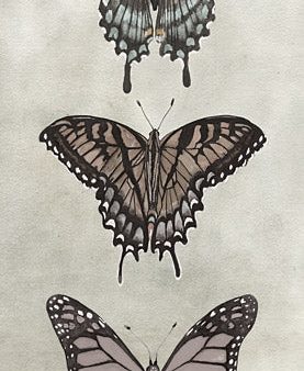 CIN3729 - Antique Butterflies II - 9x18 Sale