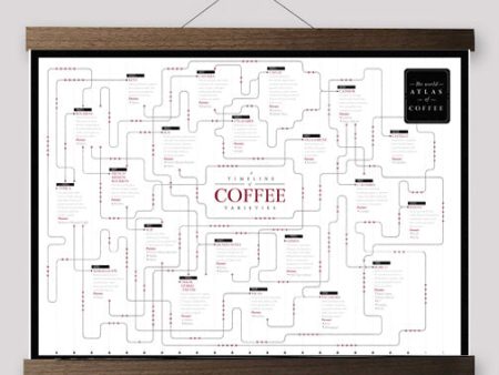 Coffee Variety Timeline - Print on Sale