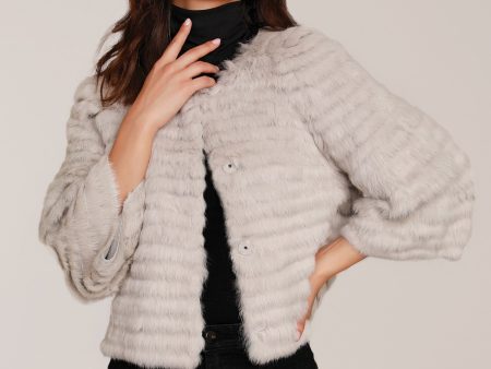 Cropped Fur Jacket Fashion