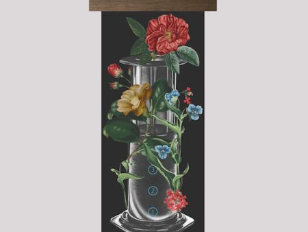 Bloom Series - Aeropress Discount