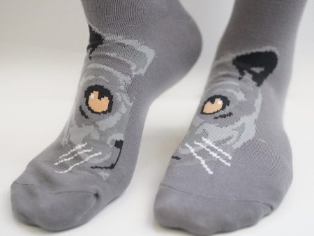 Claude Cat Socks Sale