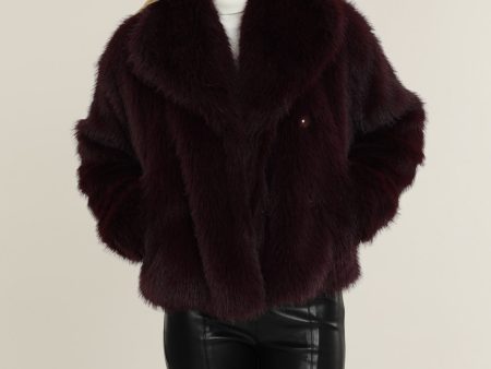 Faux Fur Jacket Online now