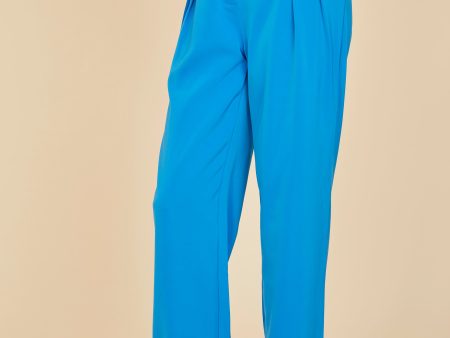 Pleated Wide Leg Trouser Online Sale