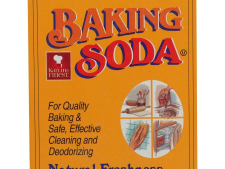 Karlins Baking Soda Pure 16 Oz Hot on Sale