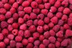 Org Raspberries 6oz (each) Fashion