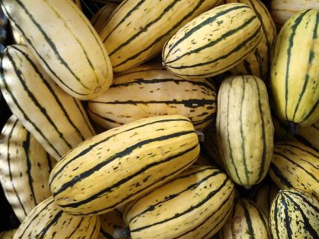 Delicata Squash Local (per pound) Cheap